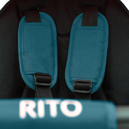 QPlay Rito+ otroški tricikel - Turquoise
